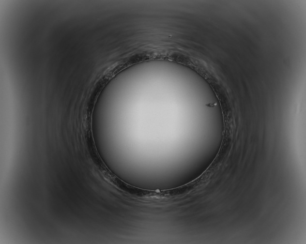 X0000085020756200703050937