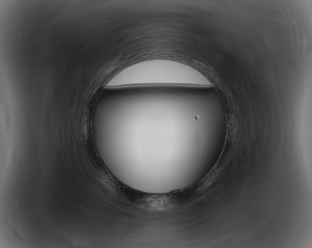 X0000085020762200703050937
