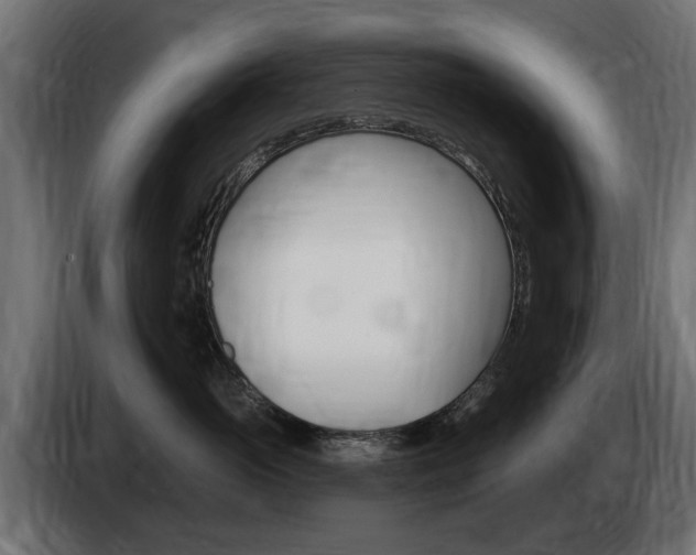 X0000085020765200703050937
