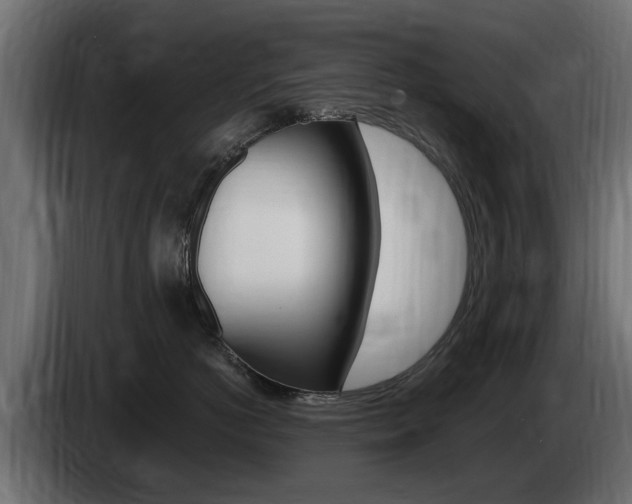 X0000085020766200703050937