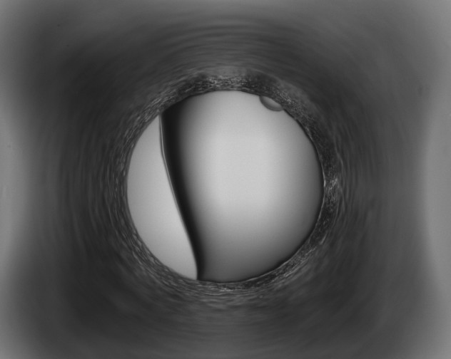 X0000085020772200703050936