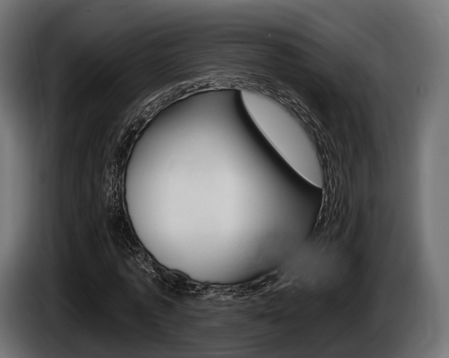 X0000085020773200703050936