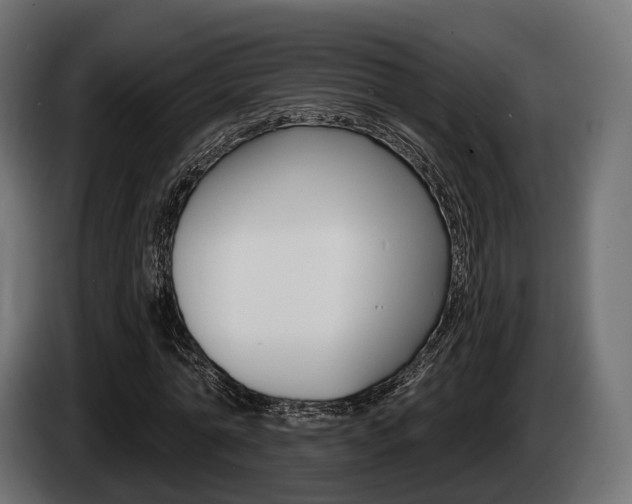 X0000085020774200703050936
