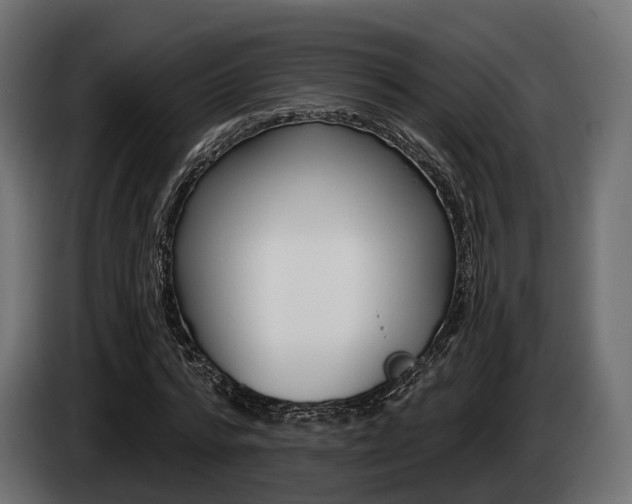 X0000085020776200703050936