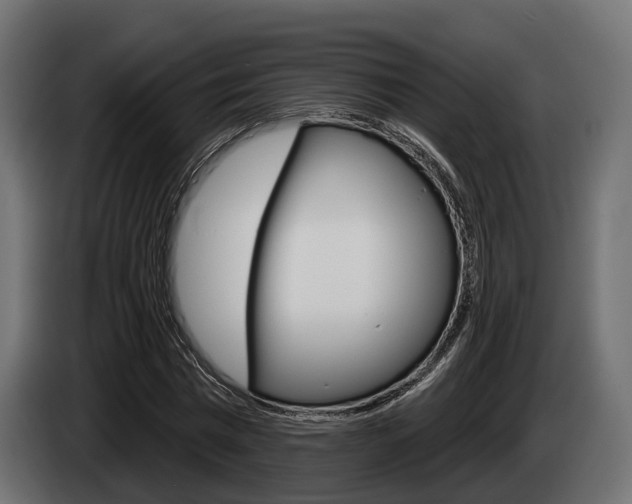 X0000085020777200703050936
