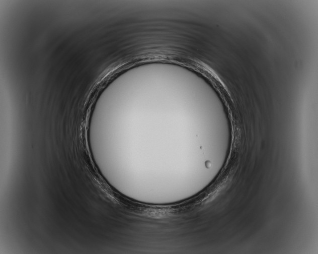 X0000085020778200703050936