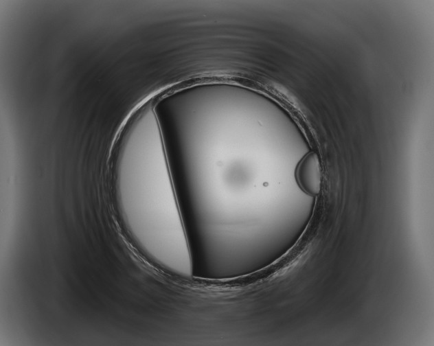 X0000085020779200703050936