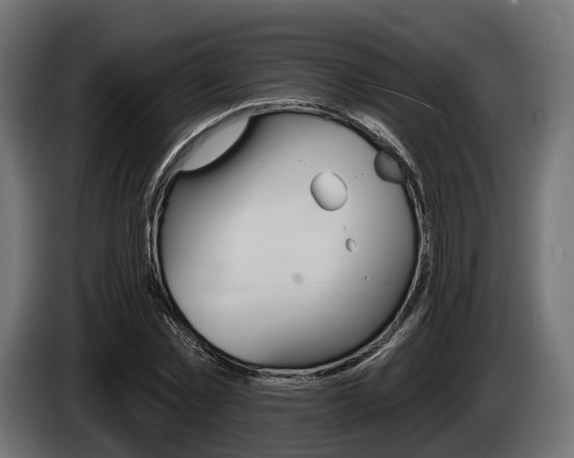 X0000085020781200703050936
