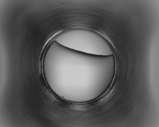 X0000085020782200703050936