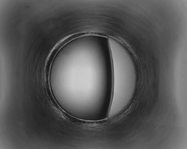 X0000085020784200703050936