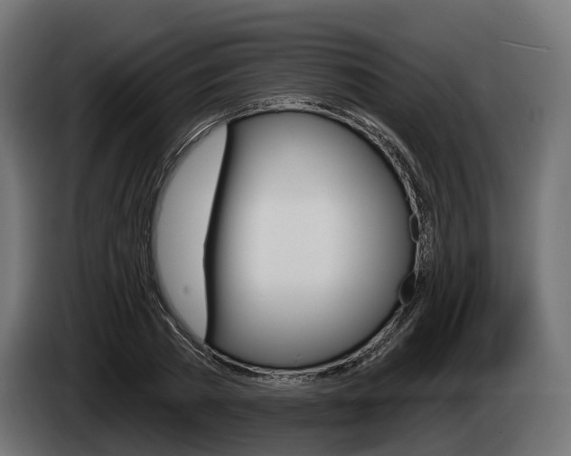 X0000085020785200703050936