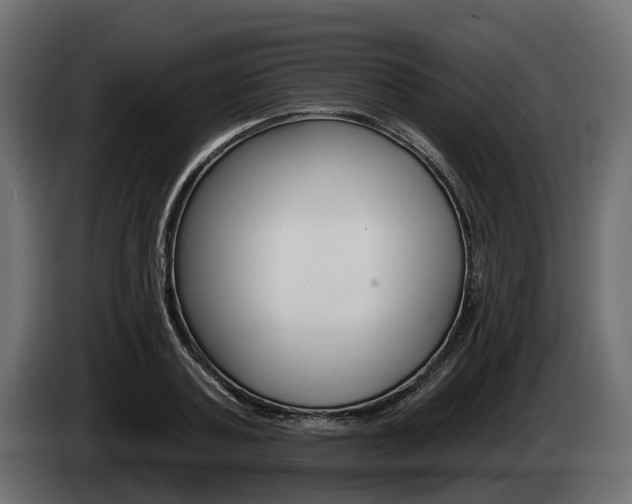X0000085020787200703050936