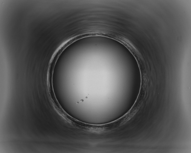 X0000085020788200703050936