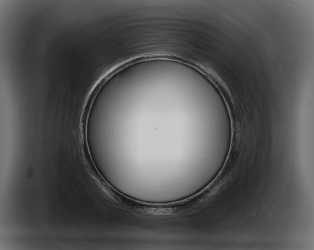 X0000085020789200703050936