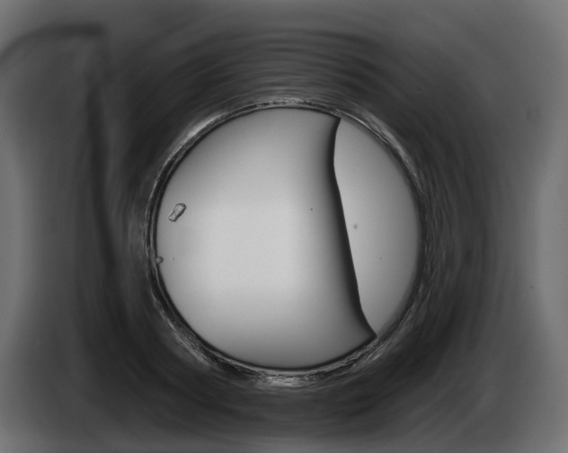 X0000085020794200703050936