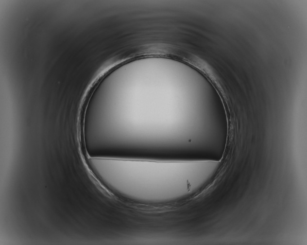 X0000085020795200703050936