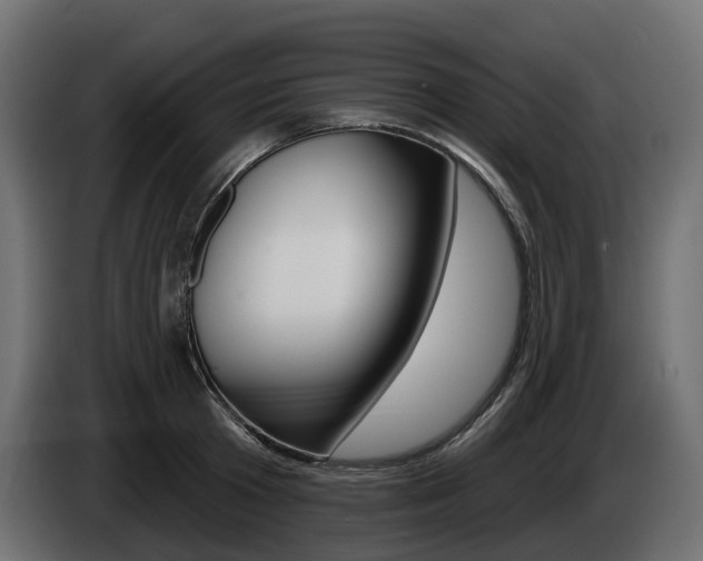 X0000085020801200703050936