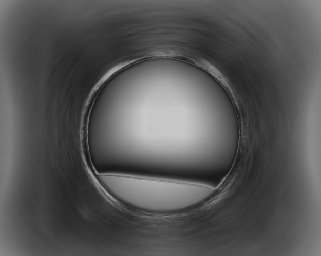 X0000085020803200703050936
