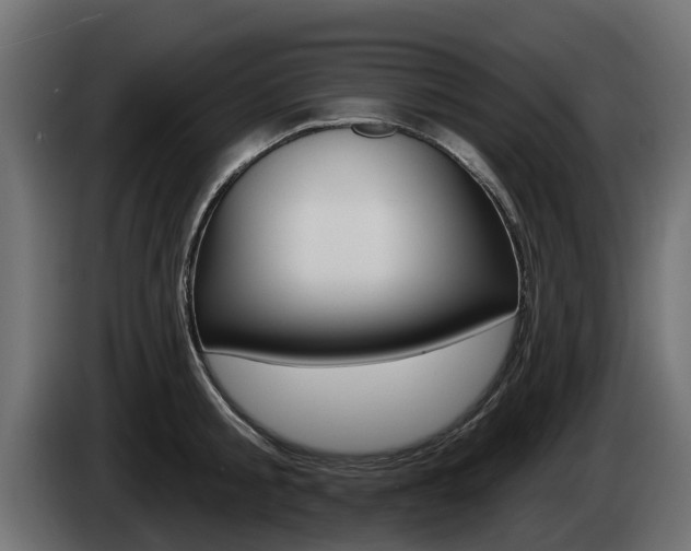 X0000085020805200703050936