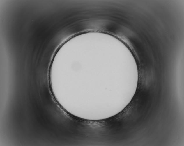 X0000085020807200703050936