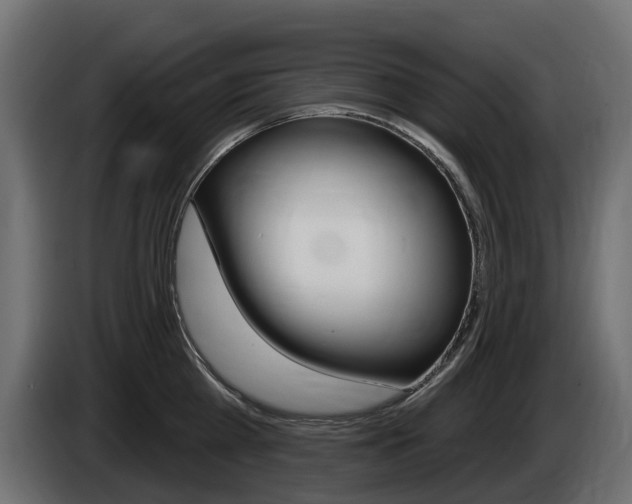 X0000085020809200703050936