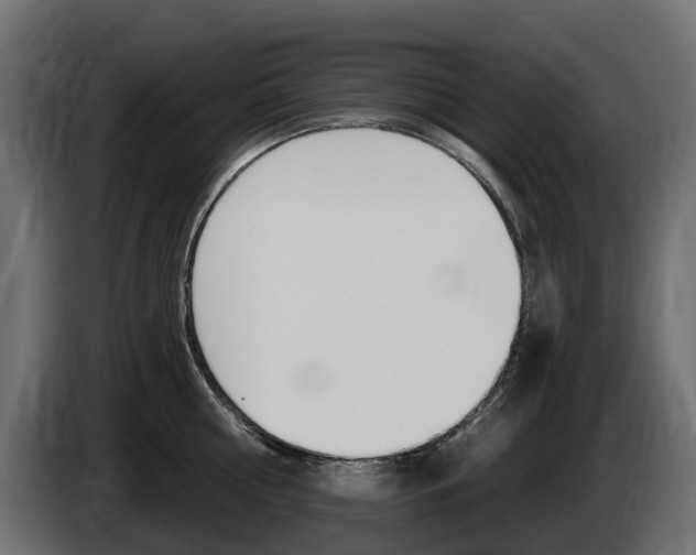 X0000085020810200703050936