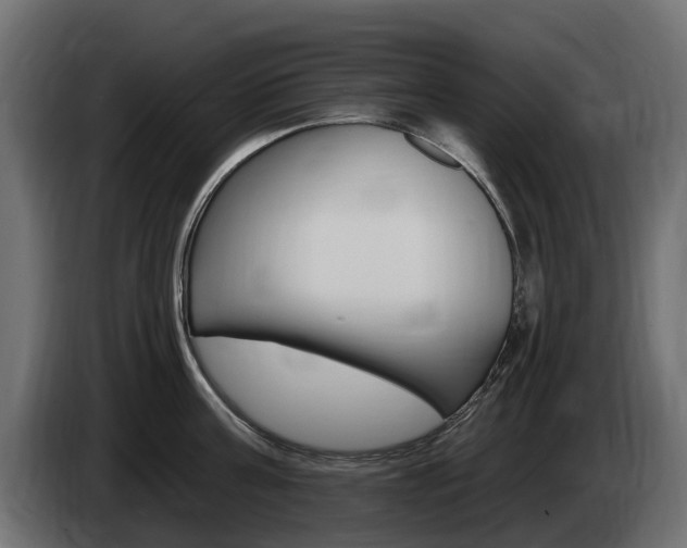 X0000085020811200703050936