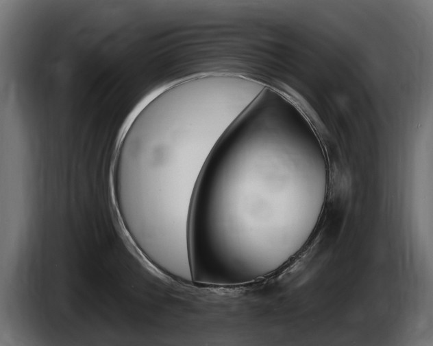 X0000085020812200703050936
