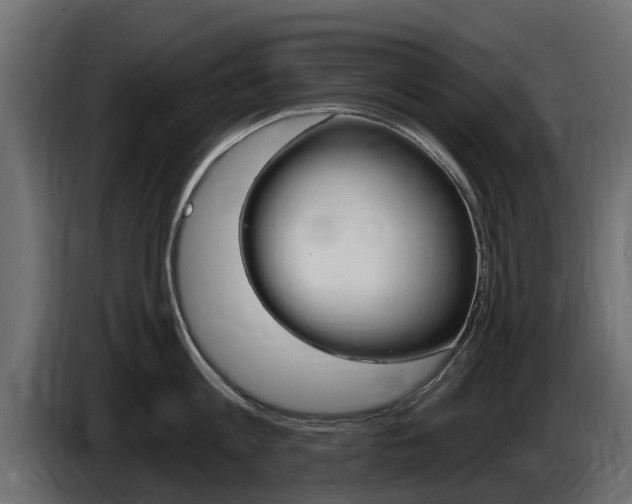 X0000085020813200703050936