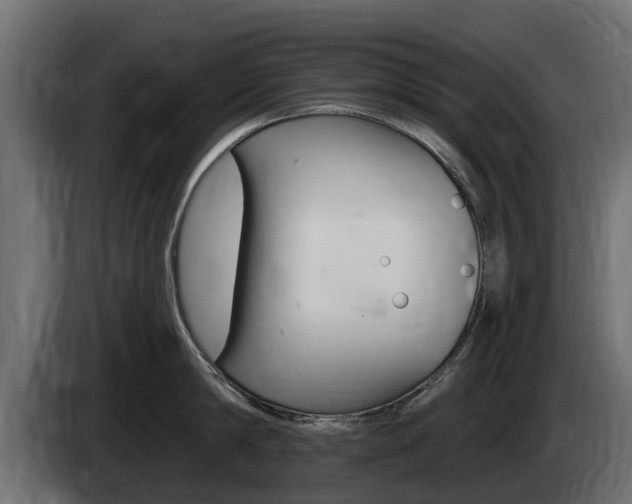X0000085020814200703050936
