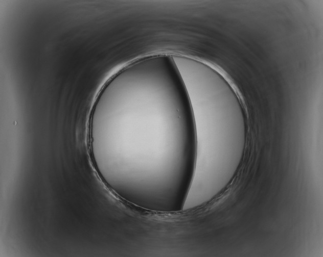 X0000085020815200703050936
