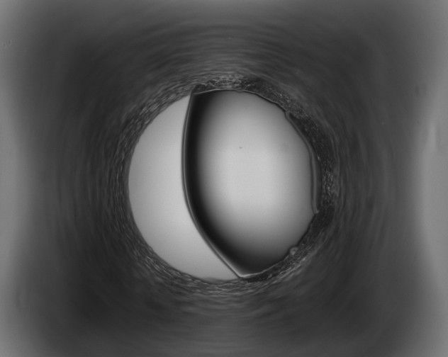 X0000085020818200703050935