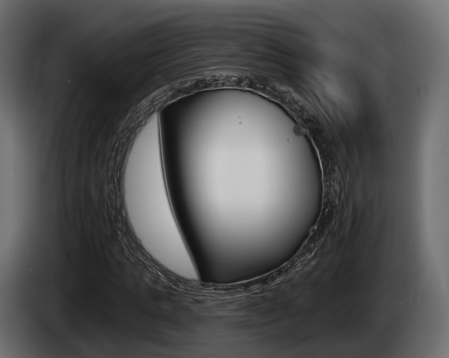 X0000085020821200703050935