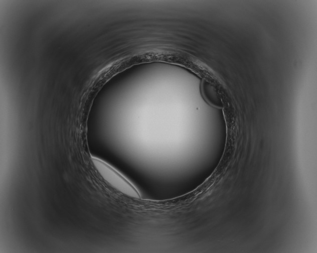 X0000085020822200703050935