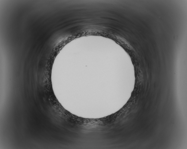 X0000085020824200703050935