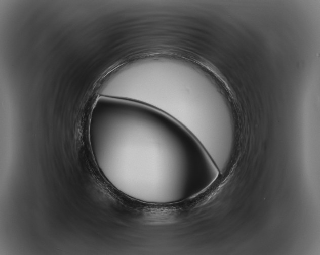 X0000085020826200703050935