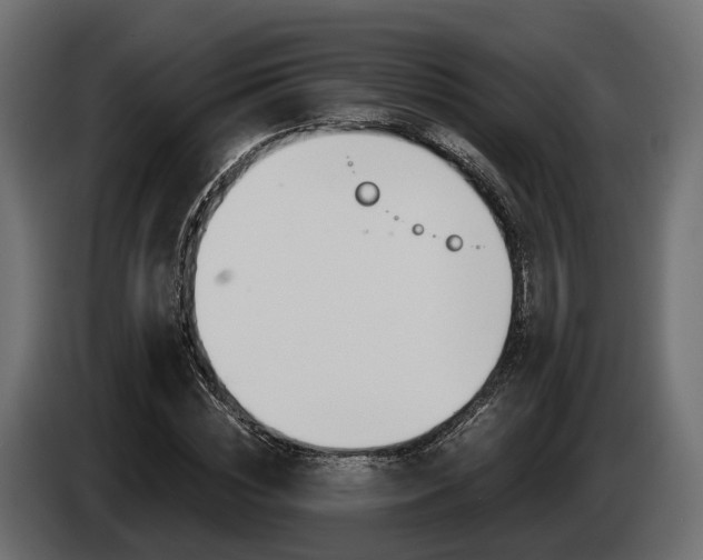 X0000085020828200703050935