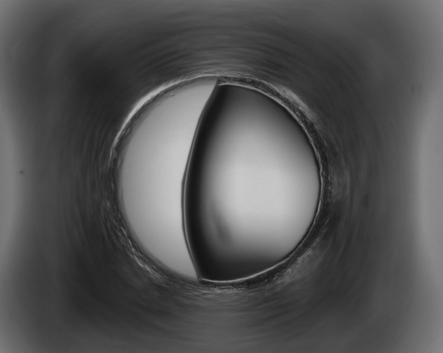 X0000085020830200703050935
