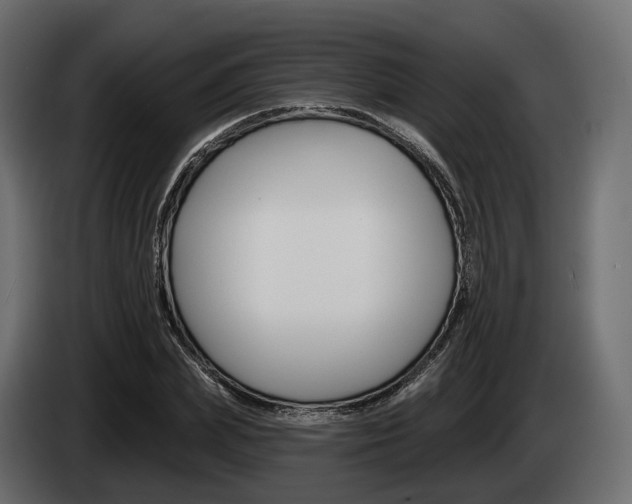 X0000085020831200703050935