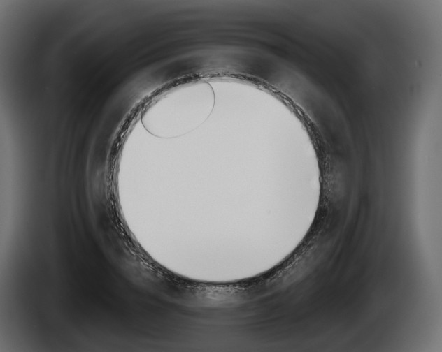 X0000085020832200703050935