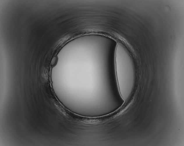 X0000085020833200703050935