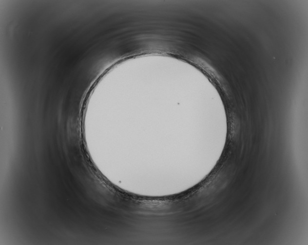 X0000085020836200703050935