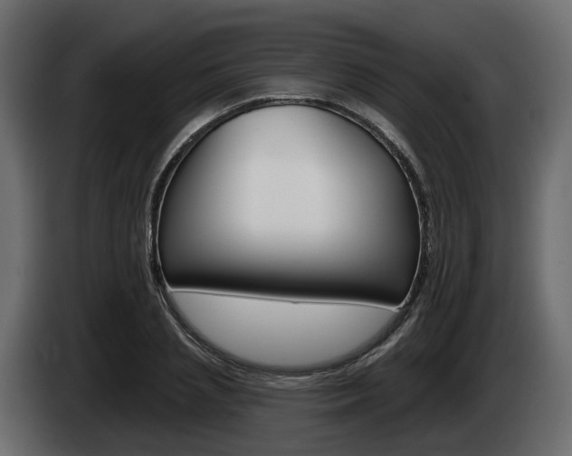 X0000085020837200703050935