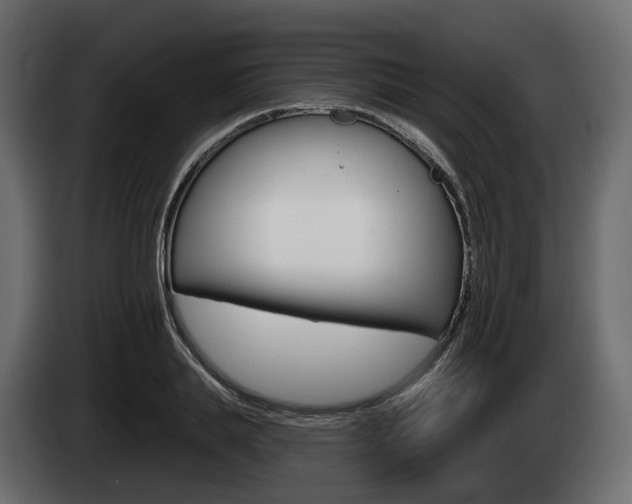 X0000085020839200703050935