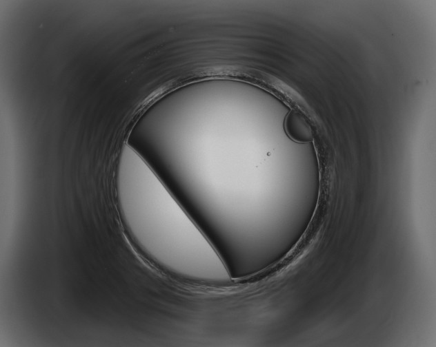 X0000085020841200703050935