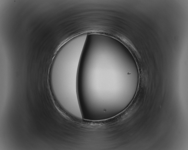 X0000085020842200703050935