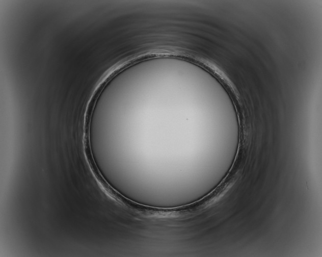 X0000085020845200703050935