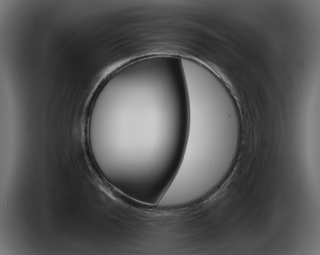 X0000085020846200703050935
