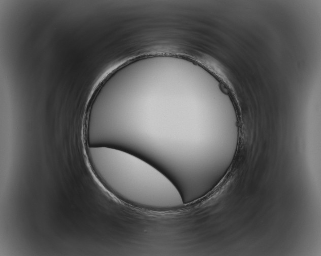 X0000085020847200703050935