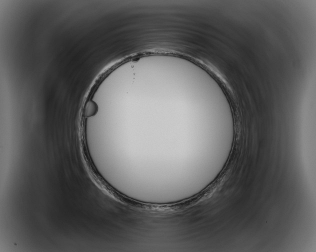 X0000085020848200703050935